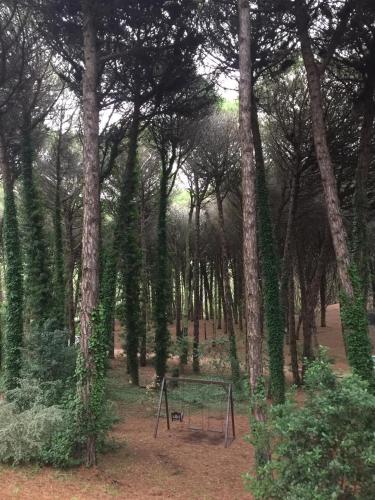 Φυσικό τοπίο κοντά σε αυτό το διαμέρισμα