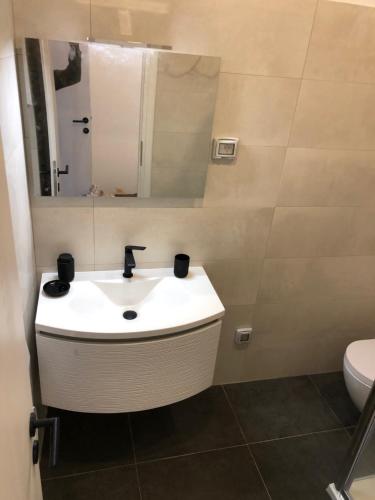 a bathroom with a sink and a mirror and a toilet at Apartment MAK with free parking in Pula