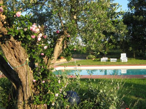 Bazén v ubytování Agriturismo Poderino nebo v jeho okolí