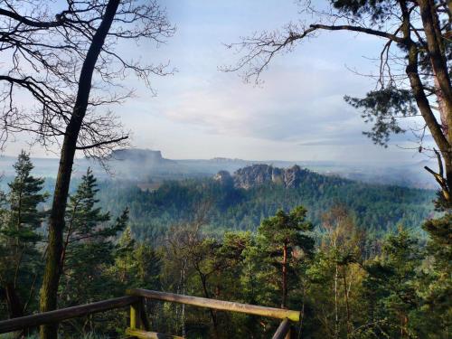 a view from the top of a mountain with trees at Ferienhaus und Ferienwohnung Büttner in Rathmannsdorf