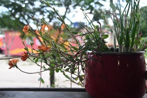 Ảnh trong thư viện ảnh của Casa Liria Gael - Kite Is Surf School ở Jericoacoara