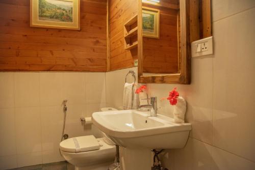 a bathroom with a white sink and a toilet at Misty Mountain Experience in Pīrmed