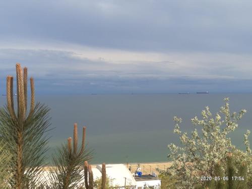 a view of the ocean from a beach with a palm tree at Guest House Serena in Chornomorsk