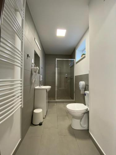 a bathroom with a toilet and a sink and a shower at Sulyom Panzió in Tiszafüred