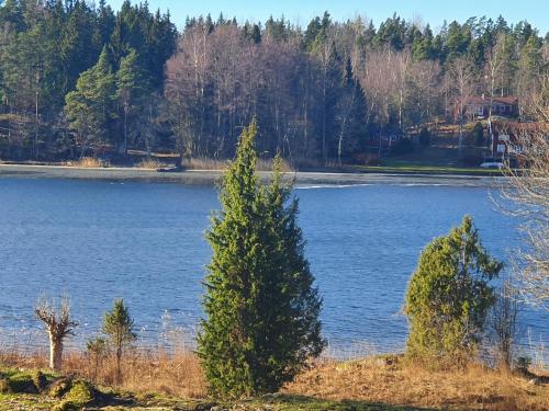 Blick auf einen großen See mit zwei Bäumen in der Unterkunft Sjöstuga Vätö in Harg