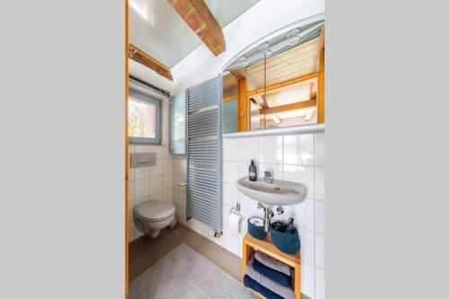 a bathroom with a sink and a toilet at Modernes Landhaus mit Sauna in Hohen Pritz