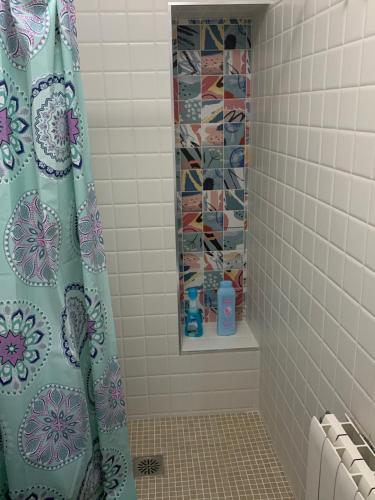 a shower with a shower curtain in a bathroom at Vivienda con fines turísticos La Barbacana del Salvador in Úbeda