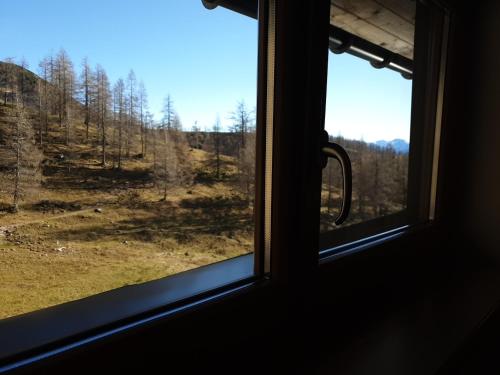 a window view of a forest from a train at Berghotel Türlwand in Ramsau am Dachstein