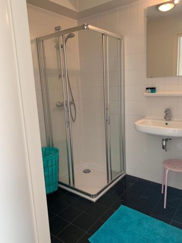 a bathroom with a shower and a sink at Roggebroek 13 in Stavoren