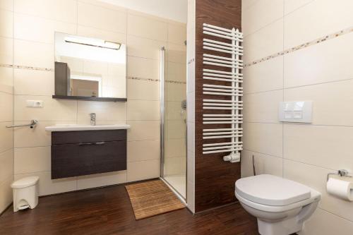 キュールングスボルンにあるBuesumer-Ring-Morgensonne-9395のバスルーム(トイレ、洗面台、シャワー付)
