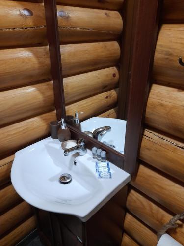 a bathroom with a sink and a mirror at къщи за гости Под звездите in Pamporovo