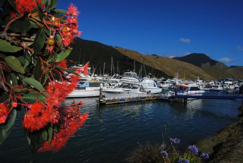 a bunch of boats docked at a marina with red flowers at Blue Moon Lodge in Havelock