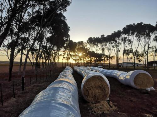 a row of pipes in a field at sunset at Oorvloed Guesthouse in Swellendam