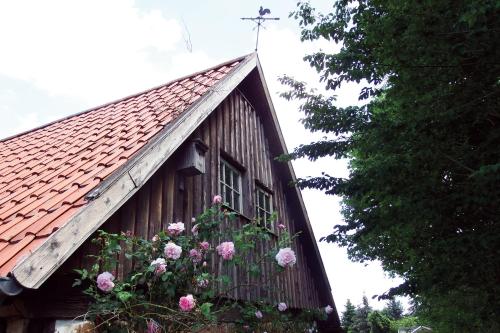a building with flowers on the side of it at Ferienhof Rauchhaus in Karft