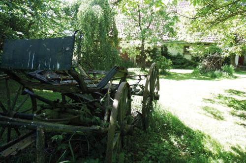 an old carriage sitting in the grass in a yard at Ferienhof Rauchhaus in Karft