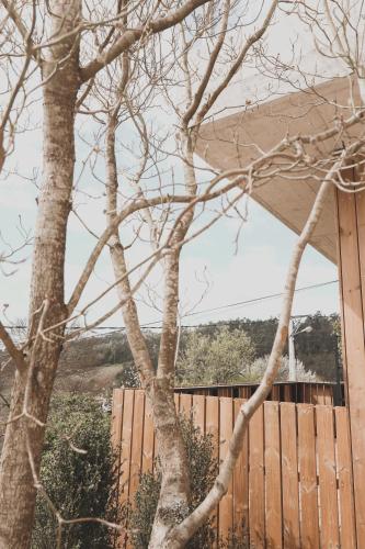 a tree in front of a wooden fence at Atmos Hotel Boutique in Outes