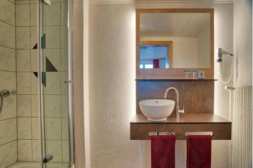 Ένα μπάνιο στο Natur- und Wanderhotel am Steinbachtal