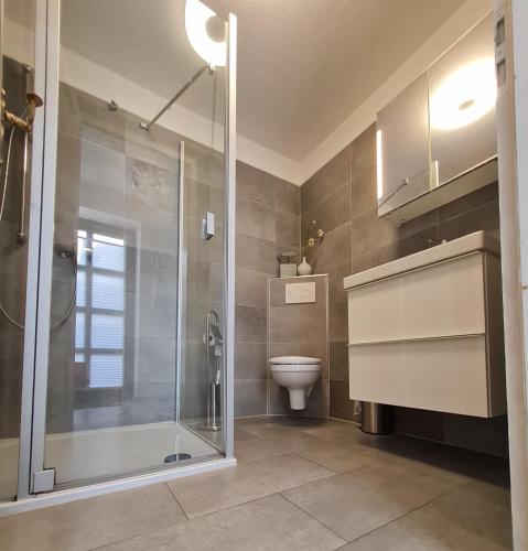 a bathroom with a shower and a toilet at Haus Seeheim in Böhl