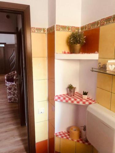 a room with a kitchen with some plants on shelves at COLORFUL PARADISE in Piatra Neamţ