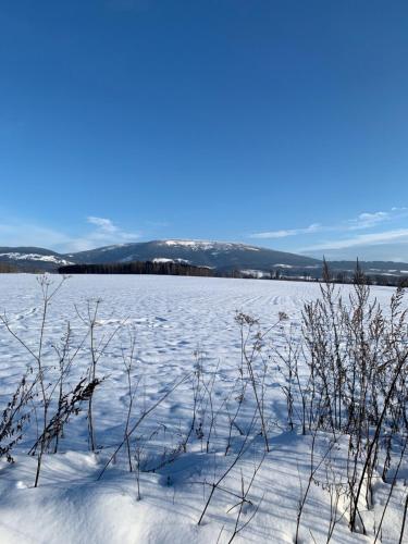 a snow covered field with trees in the distance at Čistá v Krkonoších - Chata Belmonda in Cerny Dul