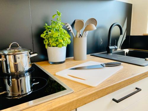 a kitchen counter with a pot on a stove at Ferien-Apartment Riedperle - mit priv Strandzugang in Friedrichshafen