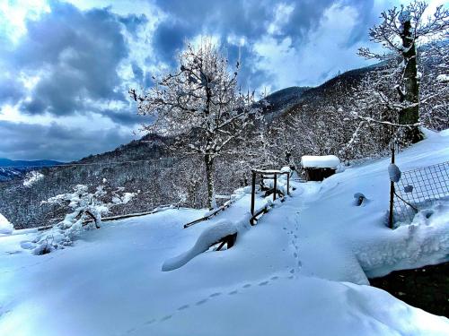 a snow covered hill with trees and a fence at B&B La Presa in Molino del Pallone