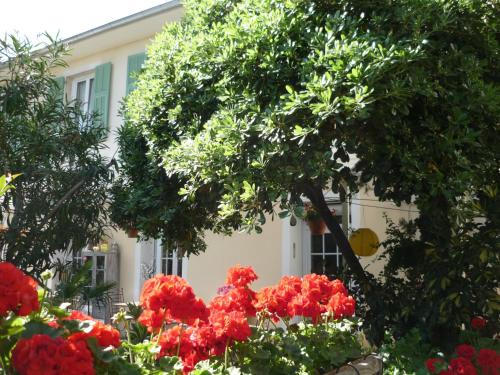 a group of red flowers in front of a house at Logis Hôtel Villa Victorine in Nice