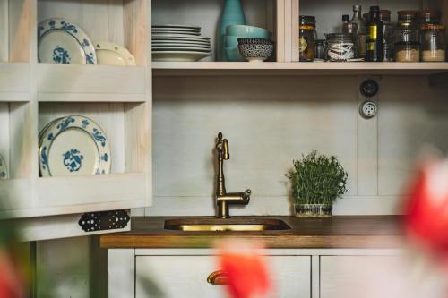 a kitchen with a sink and blue and white plates at B19 Kuldiga in Kuldīga