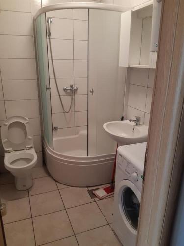 a bathroom with a shower and a toilet and a sink at Apartman FAMILY in Foča