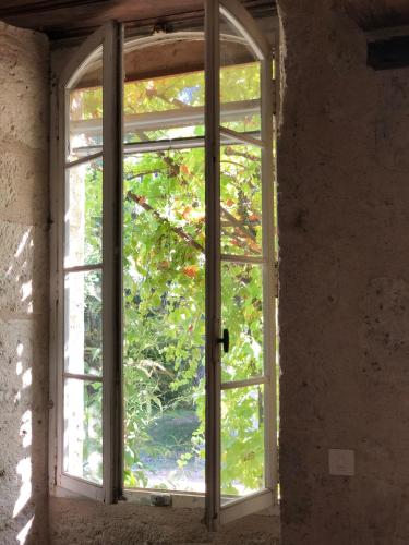 an open window in a room with a tree outside at La Chartreuse in Larroque-Engalin