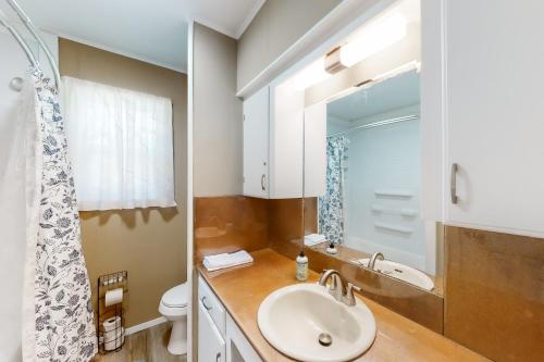 a bathroom with a sink and a toilet and a mirror at Deer Ridge in Canyon Lake
