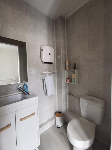 a bathroom with a white toilet and a sink at Le Papillon de la Cathédrale - Calme - Jardin - Wifi in Troyes