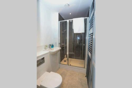 La salle de bains est pourvue de toilettes, d'une douche et d'un lavabo. dans l'établissement DREAMS APARTMENTS 2 BED, à Woolwich