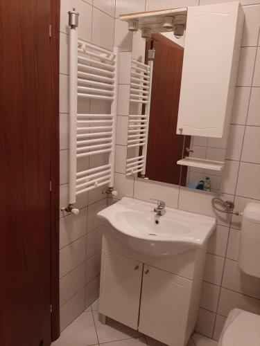 a bathroom with a sink and a toilet and a mirror at Apartman Gold City 2 Studio in Fojnica