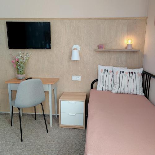 a bedroom with a bed and a desk and a tv at Penzion Bílá voda in Harrachov