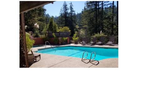 a swimming pool in a yard with chairs around it at The Stavrand in Guerneville
