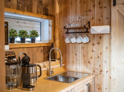 a kitchen with a sink and a counter at Boulder Mountain Resort in Revelstoke