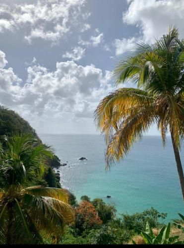 a view of a beach with palm trees and the ocean at Castara Inn in Castara