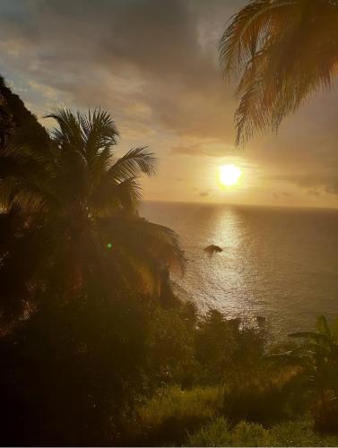 a sunset over the ocean with palm trees in the foreground at Castara Inn in Castara