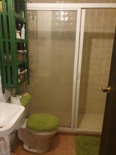 a bathroom with a shower and a toilet and a sink at Cerca del Colmex, Flacso y U Pedagogica in Mexico City