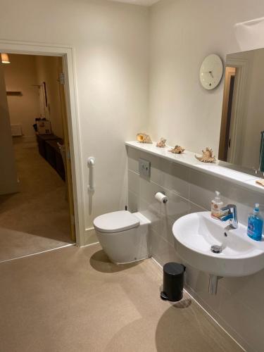 a bathroom with a white toilet and a sink at Chichester Luxury One Bed Apartment in Chichester