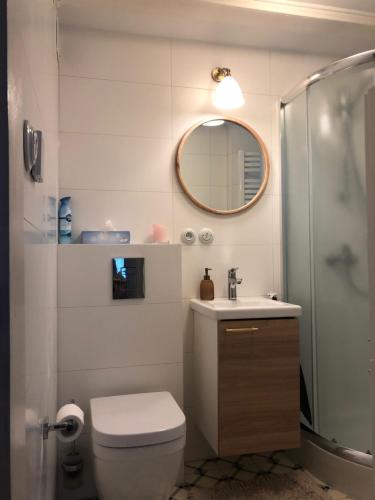 ein Badezimmer mit Toilette, Waschbecken und Spiegel in der Unterkunft Dom Blisko Natury Osłonin in Osłonin