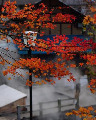 Φωτογραφία από το άλμπουμ του Himecho@Yasushi σε Nozawa Onsen