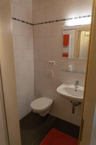 a bathroom with a toilet and a sink at Gästehaus Familie John in Veitsbronn