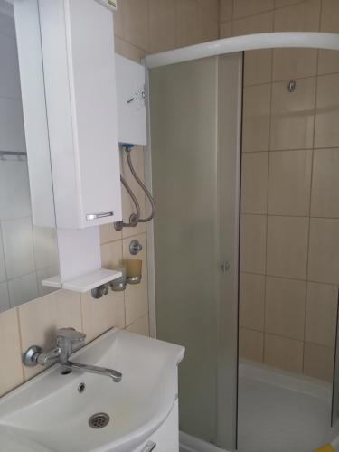 ein Badezimmer mit einem weißen Waschbecken und einer Dusche in der Unterkunft Apartments Iles in Pačir