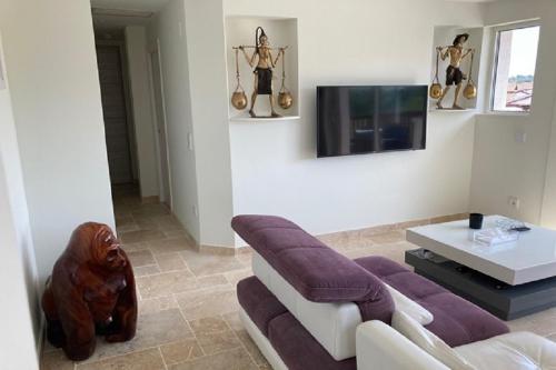 a living room with a couch and a tv at nivelle in Saint-Jean-de-Luz
