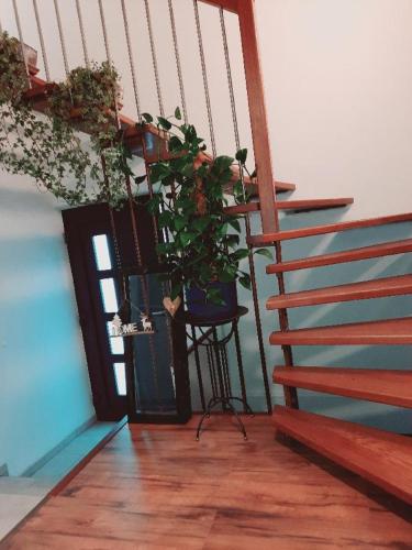 Φωτογραφία από το άλμπουμ του Casa de Luisa σε Viechtach