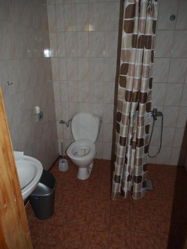 a bathroom with a toilet and a shower curtain at Äksi pastoraadi sviit in Woldi