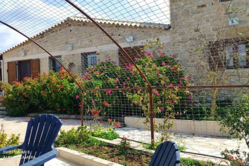 two blue chairs sitting in a garden with flowers at Stonehouse Olivelia - Afrathias Beach in Tympáki