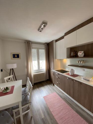 una cucina con un lavello e un tavolo e un tavolo e un tavolo sidx sidx di Stan-apartman A&A a Banja Luka